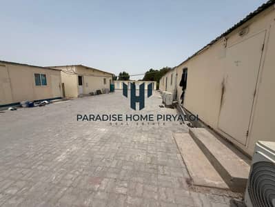 سكن عمال  للايجار في السمحة، أبوظبي - WhatsApp Image 2026-08-09 at 11.54. 56 AM. jpeg