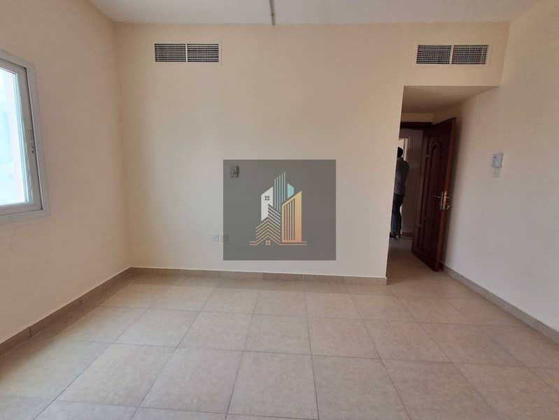 8 313565. jpg