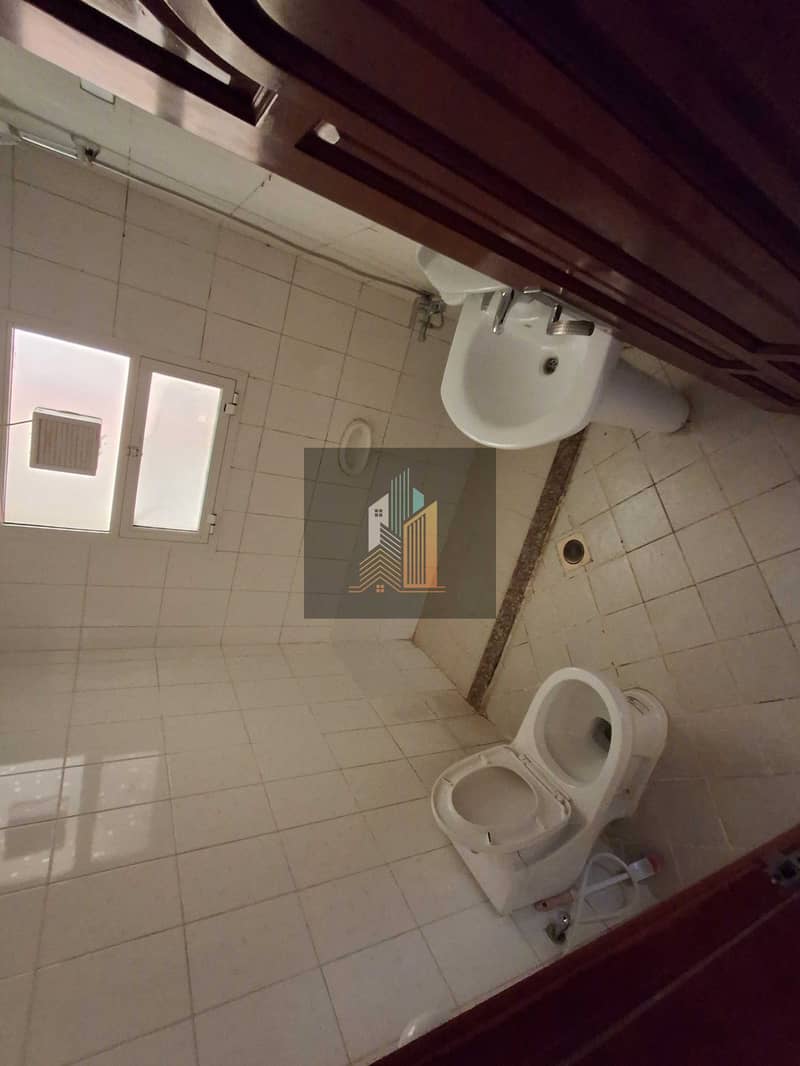 10 313570. jpg
