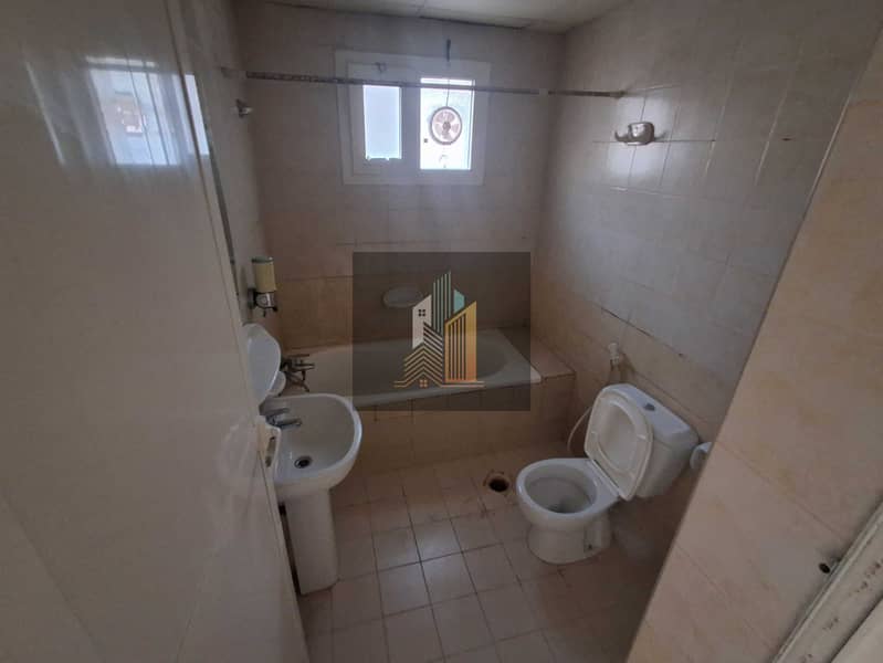 3 323830. jpg