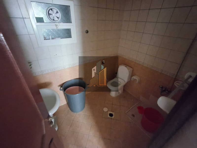 4 322380. jpg