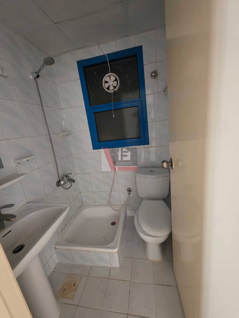 6 1000075241. jpg