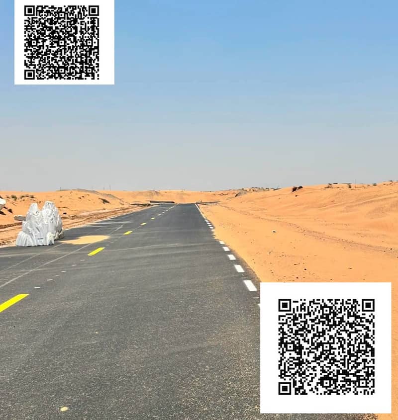 6 1000134022. jpg
