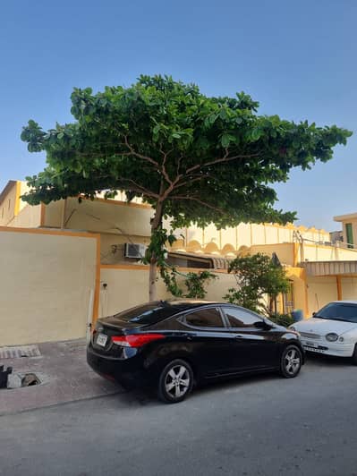 Bulk Unit for Sale in Al Nuaimiya, Ajman - a9381043-b1c0-4f90-81b1-ae69684117aa. jpg Bulk Unit for Sale in Al Nuaimiya, Ajman - a9381043-b1c0-4f90-81b1-ae69684117aa. jpg
