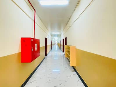 Labour Camp for Rent in Musaffah, Abu Dhabi - M 39 (12). jpeg Labour Camp for Rent in Musaffah, Abu Dhabi - M 39 (12). jpeg