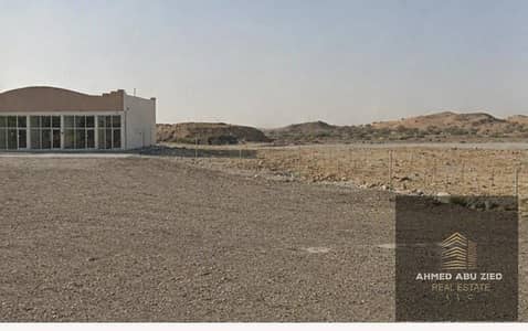Plot for Sale in Al Manama, Ajman - WhatsApp Image 2026-08-10 at 7.35. 00 AM. jpeg Plot for Sale in Al Manama, Ajman - WhatsApp Image 2026-08-10 at 7.35. 00 AM. jpeg