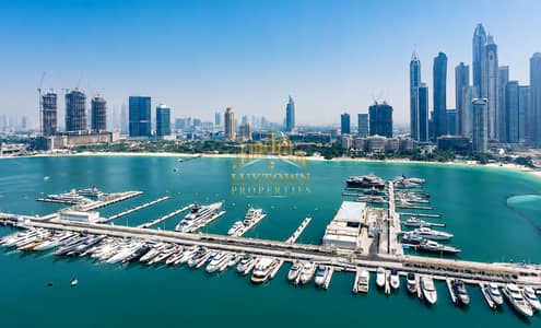 2 Slaapkamers Appartement te Huur in Dubai Harbour, Dubai - ChatGPT Image Aug 7, 2026, 12_07_45 AM. png