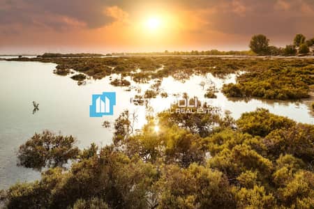 Plot in vendita a Al Jubail Island, Abu Dhabi - Terreno a Al Jubail Island，Ain Al Maha, 23500000 AED - 16018138