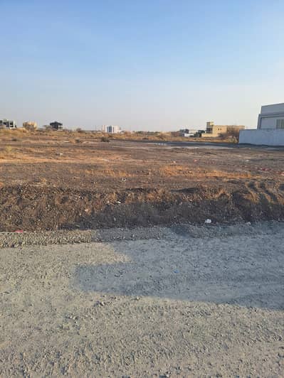 Plot for Sale in Al Manama, Ajman - 358170. jpg Plot for Sale in Al Manama, Ajman - 358170. jpg