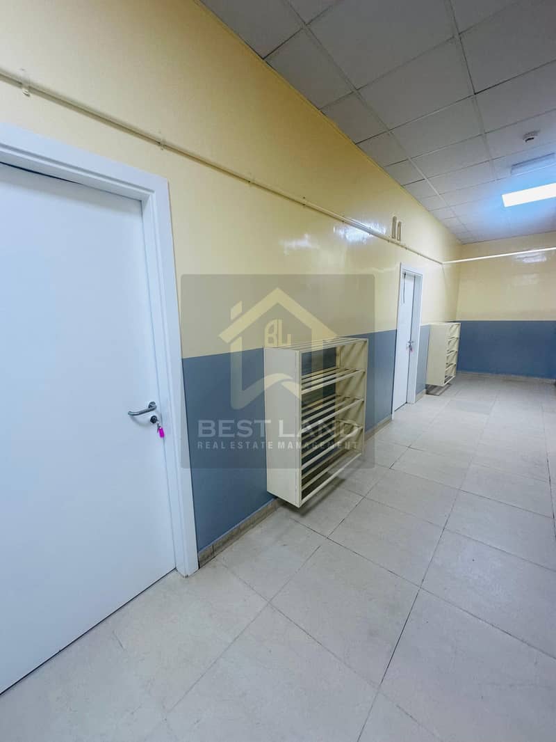 7 IMG-20241130-WA0045_Watermarked. jpg
