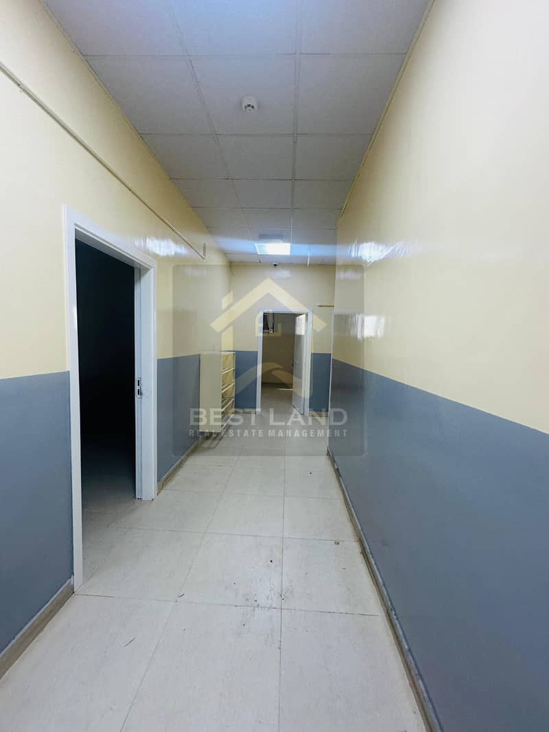 8 IMG-20241130-WA0047_Watermarked. jpg