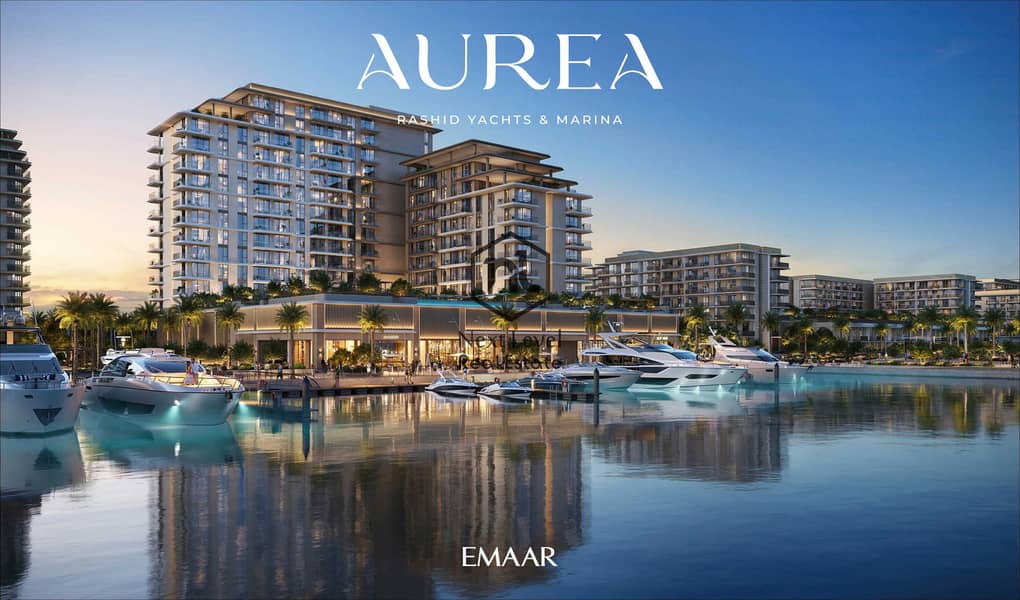 4 AUREA_RYM_BR2. jpg