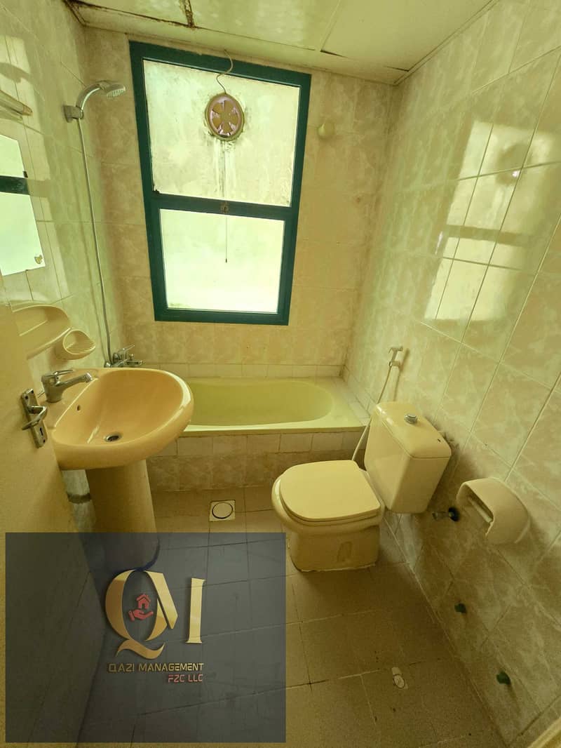 6 275959. jpg