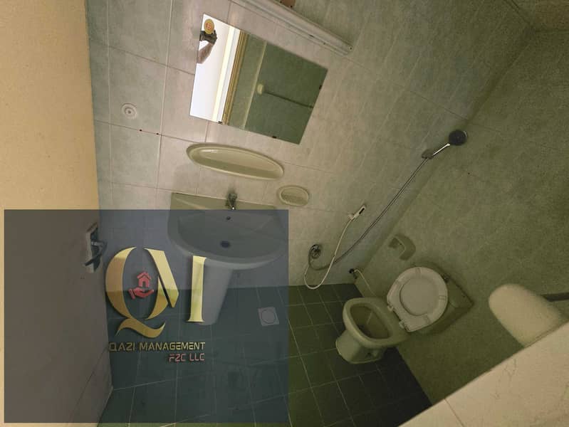 5 275939. jpg