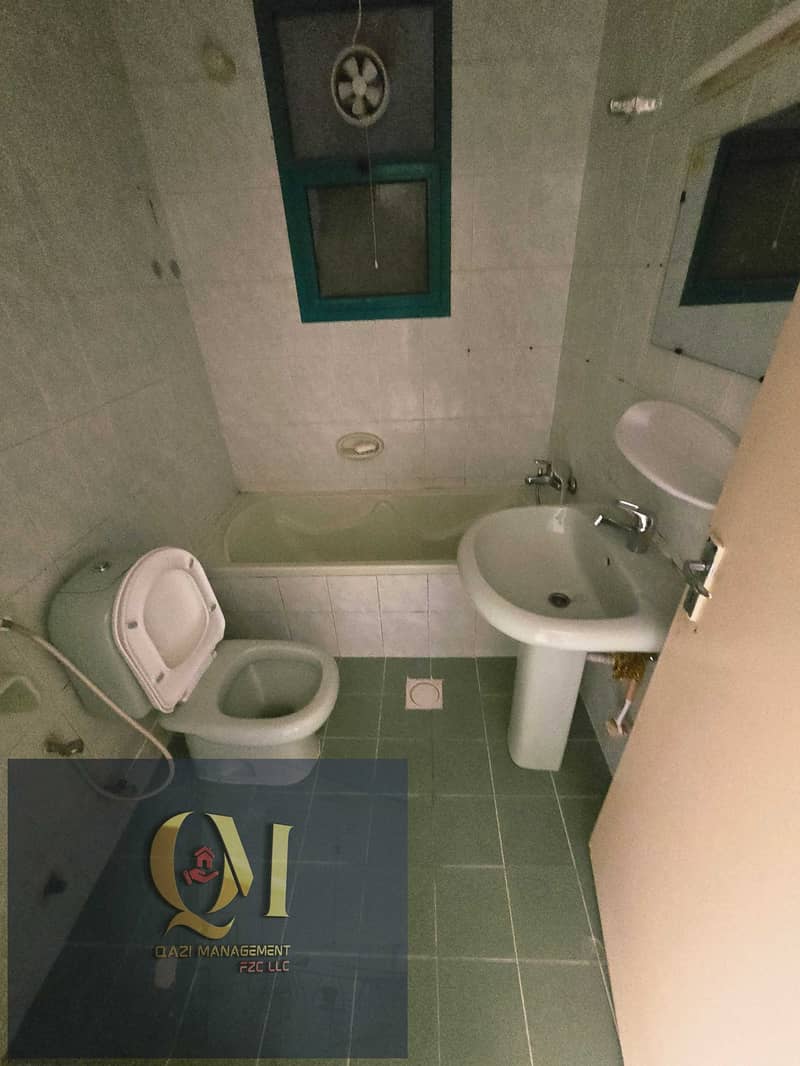13 275949. jpg
