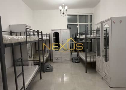 Studio for Rent in Al Refaa, Ras Al Khaimah - WhatsApp Image 2026-08-12 at 1.32. 07 AM (4). jpeg Studio for Rent in Al Refaa, Ras Al Khaimah - WhatsApp Image 2026-08-12 at 1.32. 07 AM (4). jpeg