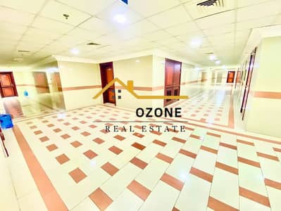 1 Bedroom Apartment for Rent in Muwaileh Commercial, Sharjah - Untitled design (10). jpg 1 Bedroom Apartment for Rent in Muwaileh Commercial, Sharjah - Untitled design (10). jpg