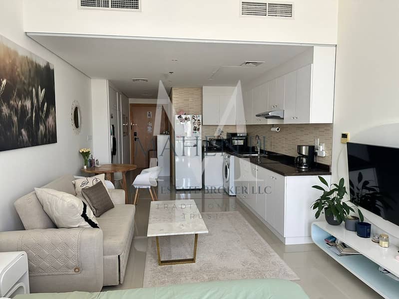 Furnished Studio Lincon Park Arjan 1. jpeg Furnished Studio Lincon Park Arjan 1. jpeg