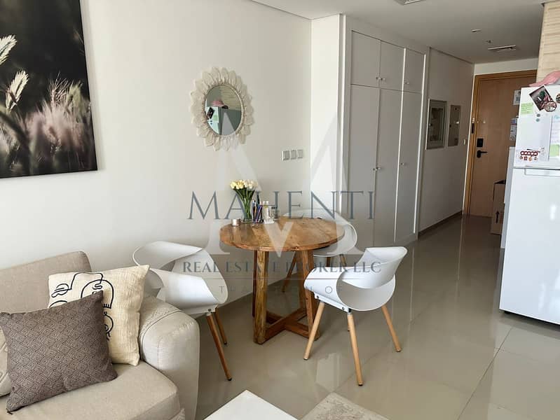 4 Furnished Studio Lincon Park Arjan 4. jpeg