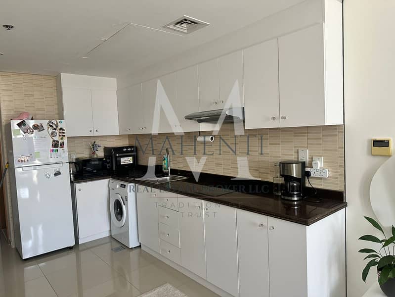 5 Furnished Studio Lincon Park Arjan 5. jpeg