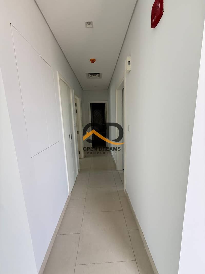 3 181674. jpg