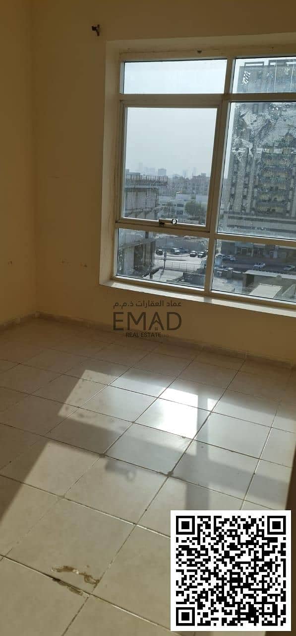 11 8. jpg