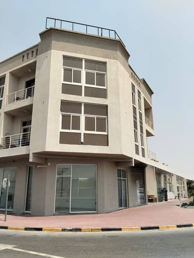 10+ Beds Building for Sale in Al Zahya, Ajman - WhatsApp Image 2026-08-11 at 3.00. 28 PM (2). jpeg 10+ Beds Building for Sale in Al Zahya, Ajman - WhatsApp Image 2026-08-11 at 3.00. 28 PM (2). jpeg