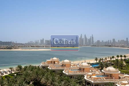 Shop de à à louer à Palm Jumeirah, Dubai - Image-16. jpg Shop de à à louer à Palm Jumeirah, Dubai - Image-16. jpg