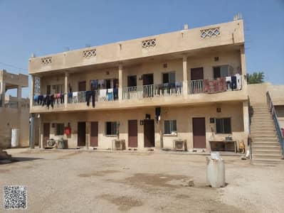 Labour Camp de à à louer à Al Nuaimiya, Ajman - WhatsApp Image 2026-05-25 at 8.20. 38 PM. jpeg Labour Camp de à à louer à Al Nuaimiya, Ajman - WhatsApp Image 2026-05-25 at 8.20. 38 PM. jpeg