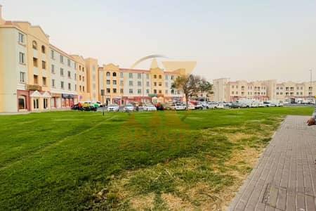 国际城, 迪拜 商铺待租 - 位于国际城,英国社区 的商铺 51000 AED - 16162121 国际城, 迪拜 商铺待租 - 位于国际城,英国社区 的商铺 51000 AED - 16162121