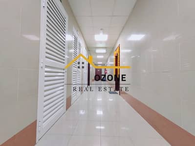 Studio for Rent in Muwaileh Commercial, Sharjah - 9cc78d03-7ccc-4d7b-a2b4-217cf0fa05f2. jpg Studio for Rent in Muwaileh Commercial, Sharjah - 9cc78d03-7ccc-4d7b-a2b4-217cf0fa05f2. jpg
