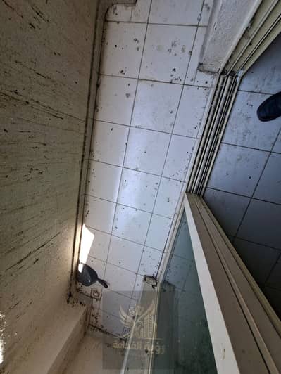 1 Bedroom Apartment for Rent in Al Qasimia, Sharjah - WhatsApp Image 2026-08-13 at 1.15. 26 PM (1). jpeg 1 Bedroom Apartment for Rent in Al Qasimia, Sharjah - WhatsApp Image 2026-08-13 at 1.15. 26 PM (1). jpeg
