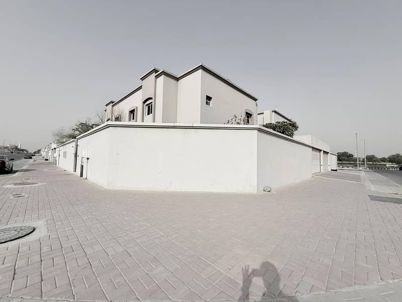 3 163716. jpg