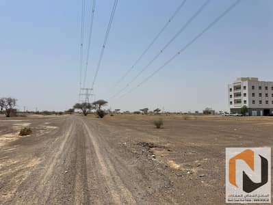 Plot for Sale in Al Dhaid, Sharjah - photo_21_2026-08-12_19-30-13. jpg
