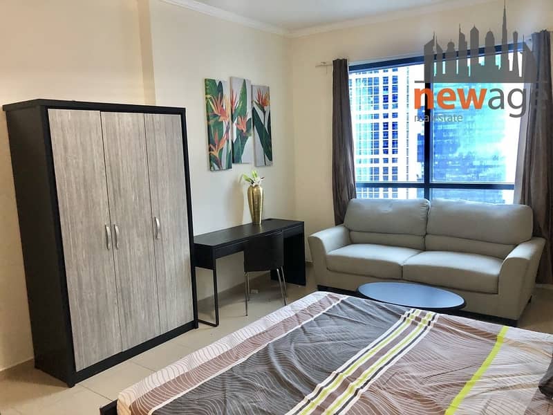 Furnished Spacious Studio Near Metro For Rent