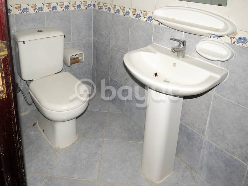 9 IMG_7257. jpg