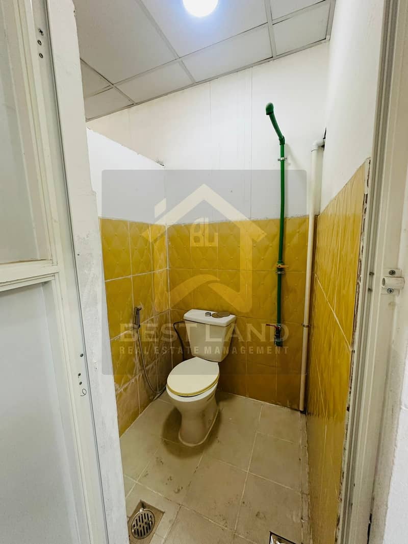 7 IMG-20241023-WA0028_Watermarked. jpg