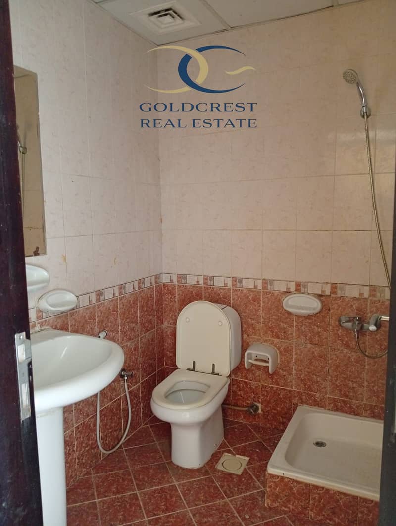 9 WhatsApp Image 2026-08-12 at 13.32. 56 (3). jpeg