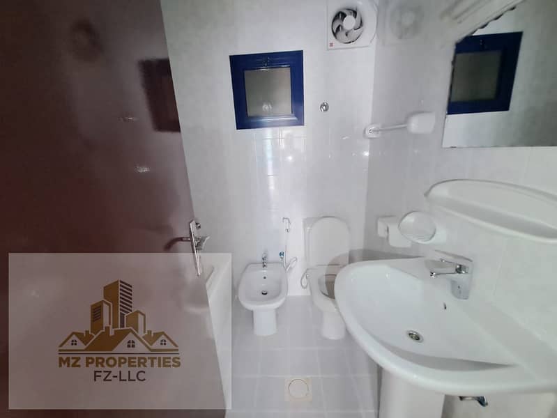 16 195280. jpg