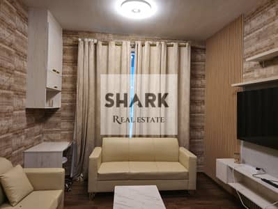 1 Bedroom Apartment for Sale in Al Nuaimiya, Ajman - WhatsApp Image 2026-08-13 at 12.41. 33 PM. jpeg