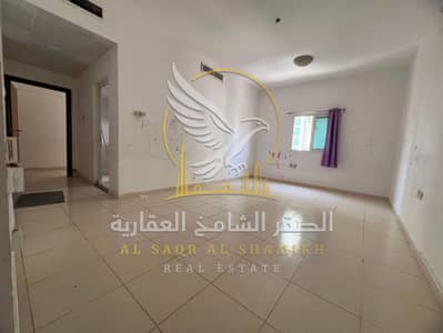 1 Camera Appartamento in affitto a Al Nasserya, Sharjah - WhatsApp Image 2026-08-10 at 12.33. 02 PM. jpeg 1 Camera Appartamento in affitto a Al Nasserya, Sharjah - WhatsApp Image 2026-08-10 at 12.33. 02 PM. jpeg