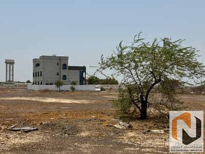 Plot for Sale in Al Manama, Ajman - photo_9_2026-08-12_19-30-13. jpg Plot for Sale in Al Manama, Ajman - photo_9_2026-08-12_19-30-13. jpg
