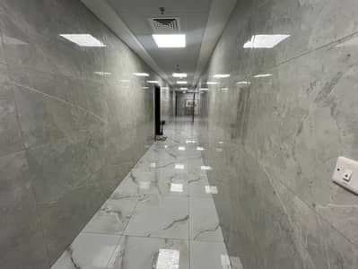 1 Bedroom Flat for Rent in Liwara 1, Ajman - WhatsApp Image 2026-08-01 at 3.47. 40 PM. jpeg