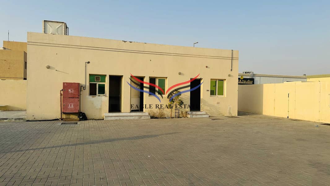 6 13123. jpg