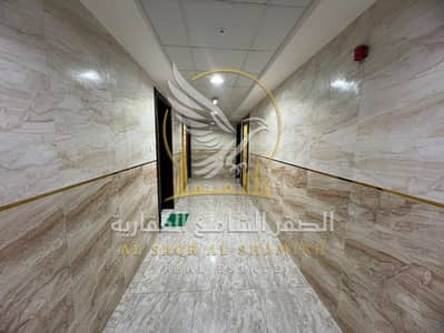 1 Camera Appartamento in affitto a Al Qulayaah, Sharjah - WhatsApp Image 2026-08-12 at 2.41. 03 PM (1). jpeg