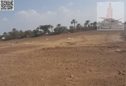 Plot for Sale in Al Manama, Ajman - original (3). jpg Plot for Sale in Al Manama, Ajman - original (3). jpg