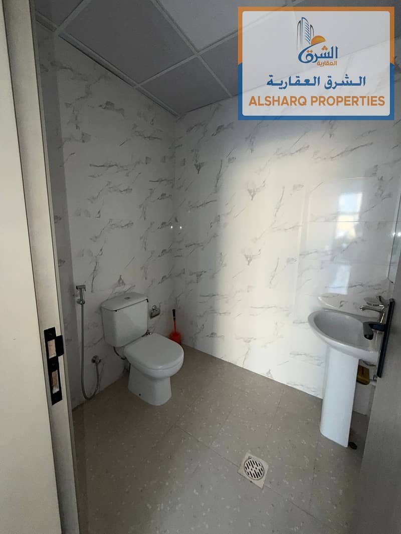 6 WhatsApp Image 2026-08-11 at 11.37. 02 AM (1). jpeg