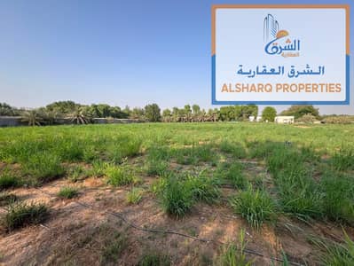 ارض استخدام متعدد للايجار في الزبير، الشارقة - WhatsApp Image 2026-08-13 at 6.15. 04 PM. jpeg ارض استخدام متعدد للايجار في الزبير، الشارقة - WhatsApp Image 2026-08-13 at 6.15. 04 PM. jpeg