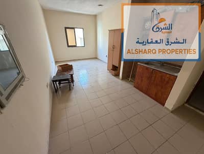 Studio zum zur Miete in Al Nuaimiya, Ajman - WhatsApp Image 2026-08-13 at 12.04. 21 PM (1). jpeg Studio zum zur Miete in Al Nuaimiya, Ajman - WhatsApp Image 2026-08-13 at 12.04. 21 PM (1). jpeg