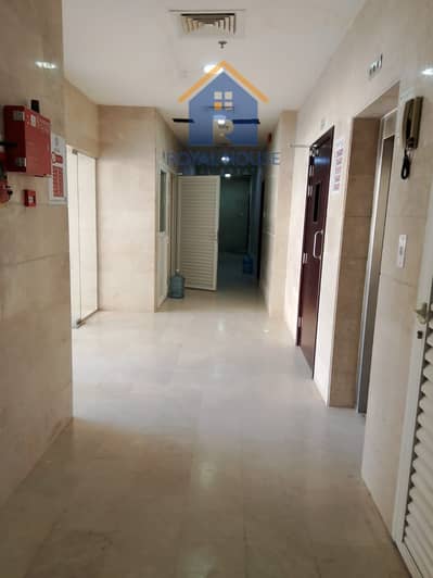 10+ Schlafzimmer Building zum zum Verkauf in Muwaileh Commercial, Sharjah - WhatsApp Image 2026-08-16 at 11.53. 50 AM (1). jpeg 10+ Schlafzimmer Building zum zum Verkauf in Muwaileh Commercial, Sharjah - WhatsApp Image 2026-08-16 at 11.53. 50 AM (1). jpeg